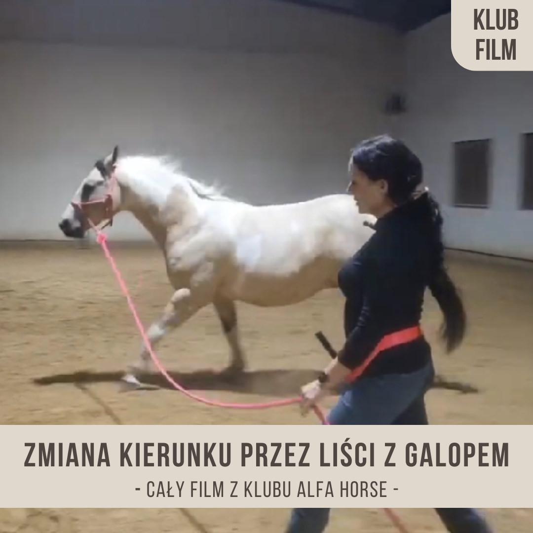 zmiana_kierunku_przez_liscia_z_galopem
