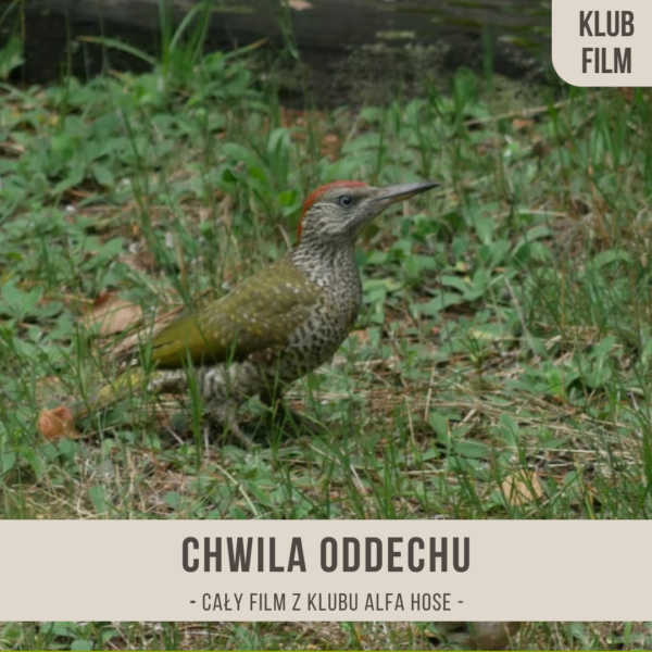 chwila_oddechu