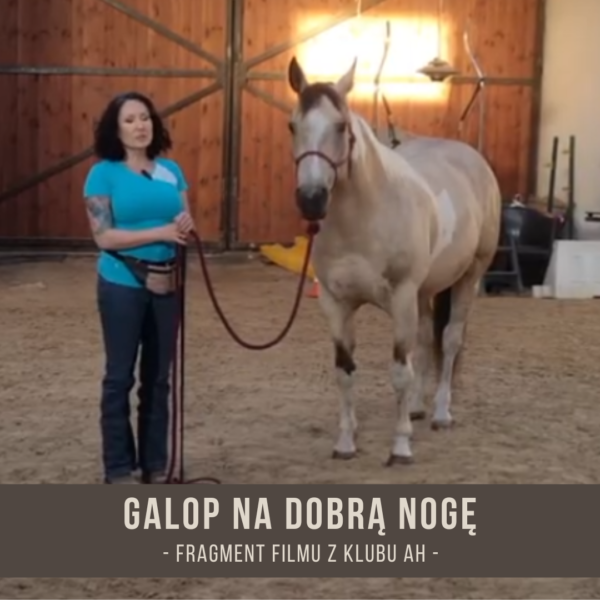 galop_na_dobra_noge