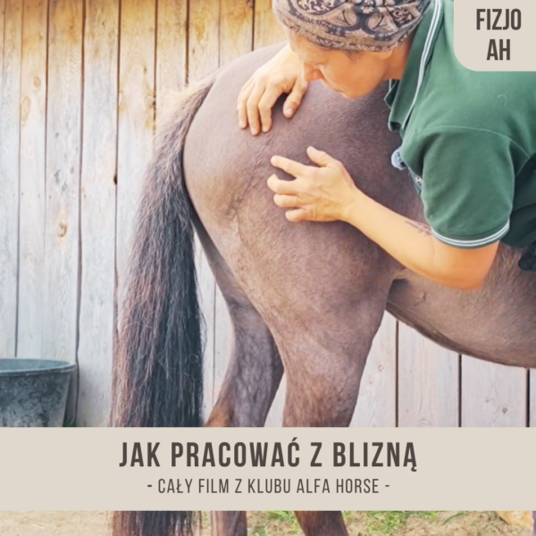 jak_pracowac_z_blizna