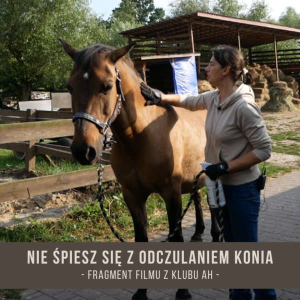 nie_spiesz_sie_z_odczulaniem_konia