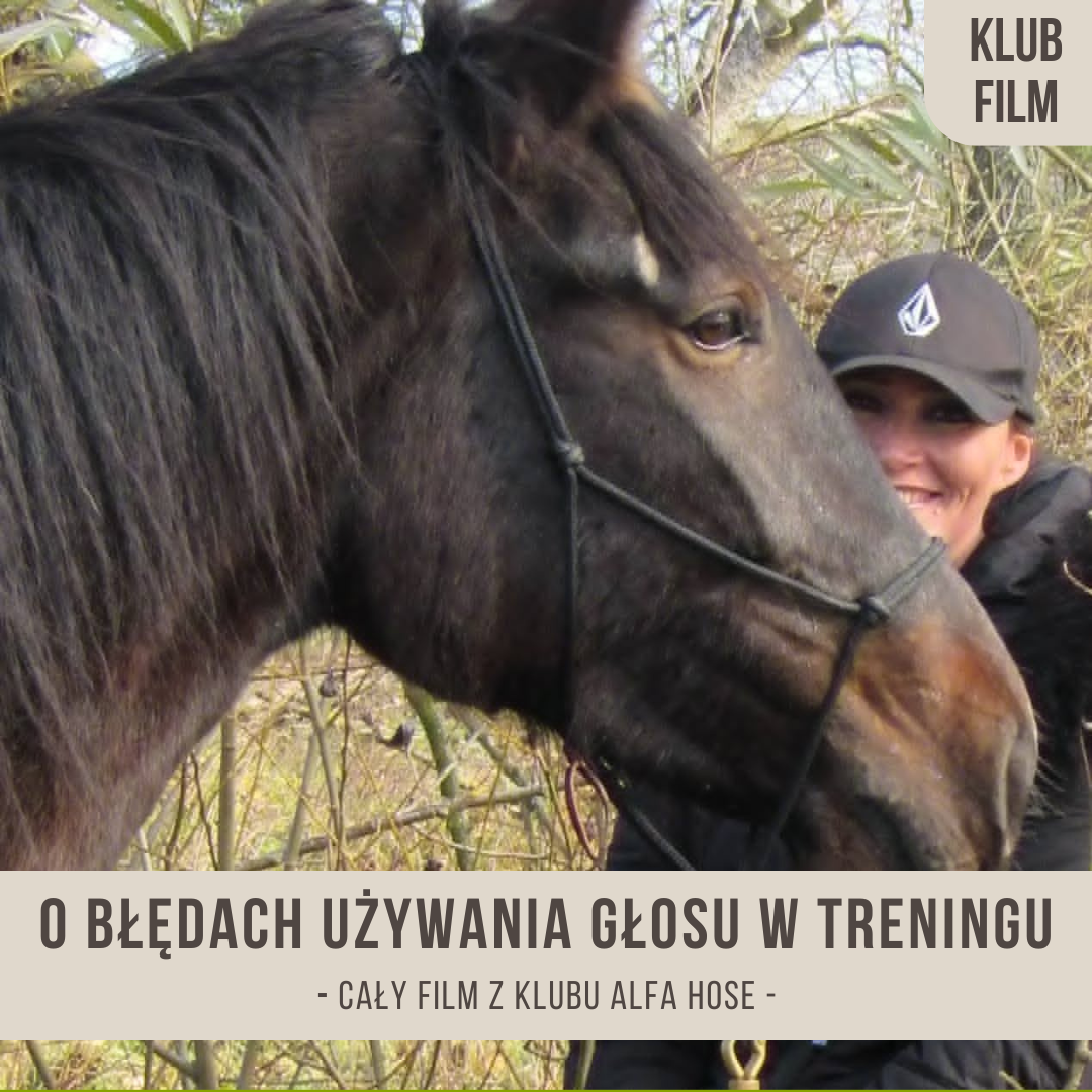 o_bledach_uzywania_glosu_w_treningu
