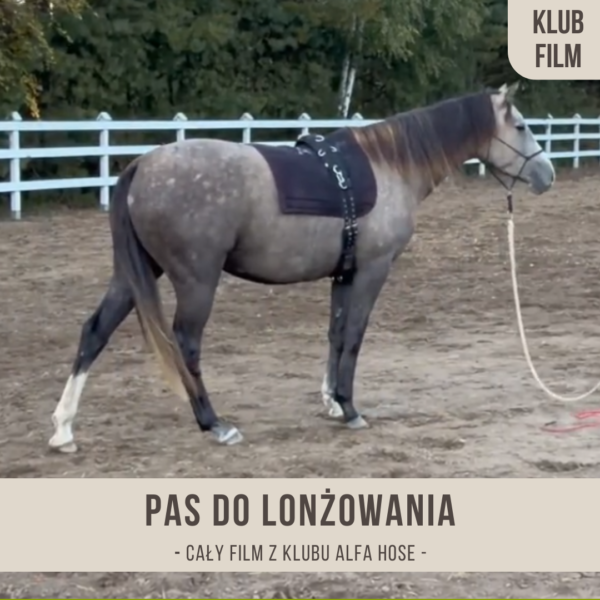pas_do_lonzowania