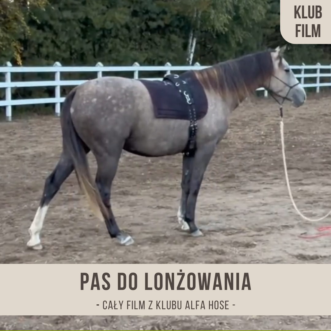 pas_do_lonzowania