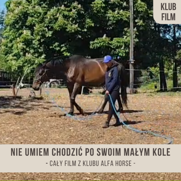 ratunku_nie_umiem_chodzic_poswoim_malym_kole