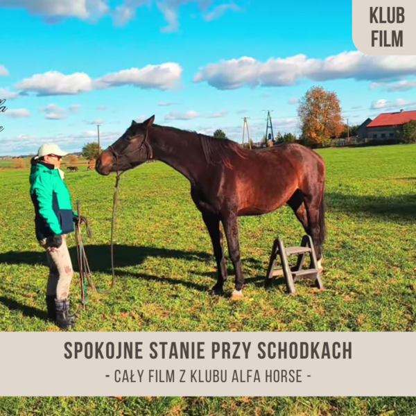 spokojne stanie przy schodkach