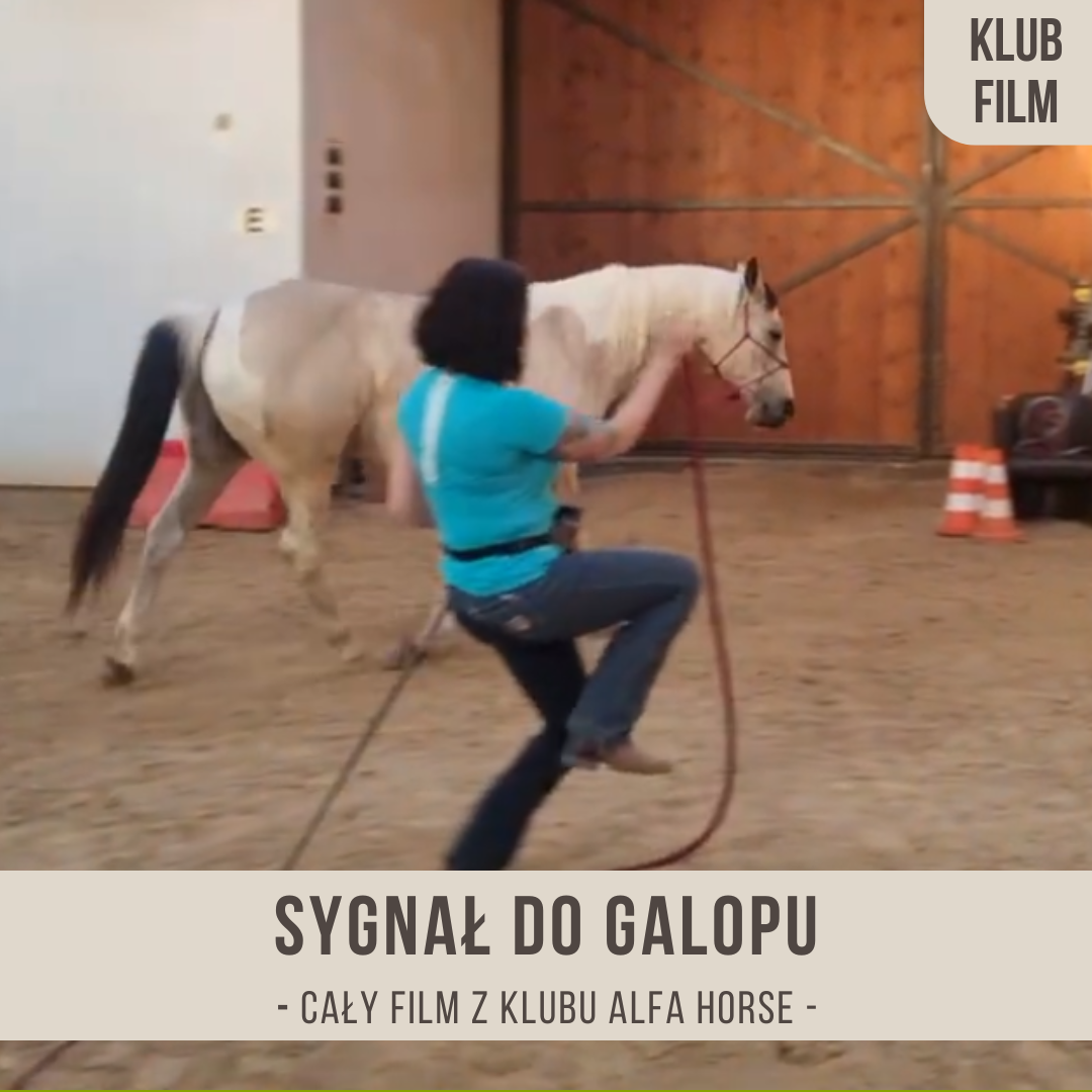sygnal_do_galopu