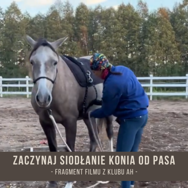 zaczynaj_siodlanie_konia_od_pasa