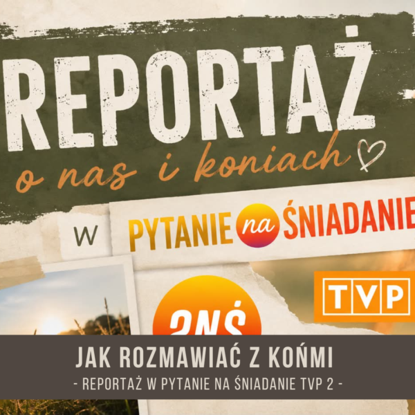 REPORTAZ_ALFAHORSE_PYTANIE_NA_SNIADANIE_