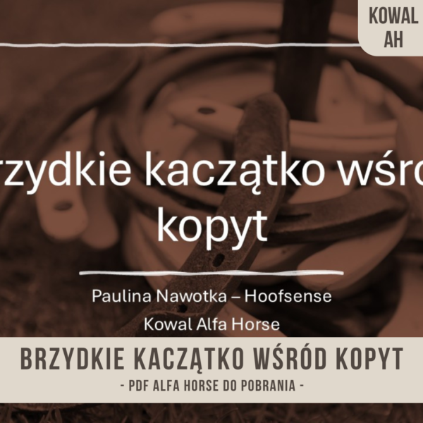 brzydkie_kaczatko_wsrod_kopyt_alfa_horse_kowal_paulina_nawotka_hoofsense