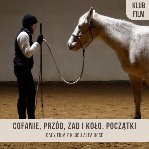 cofanie_przod_zad_i_kolo_poczatki