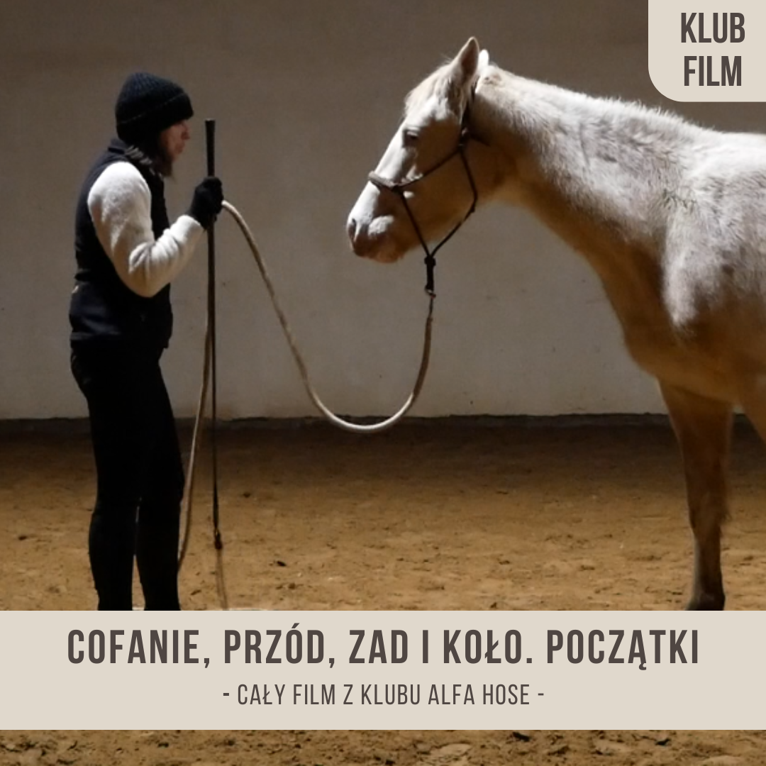 cofanie_przod_zad_i_kolo_poczatki