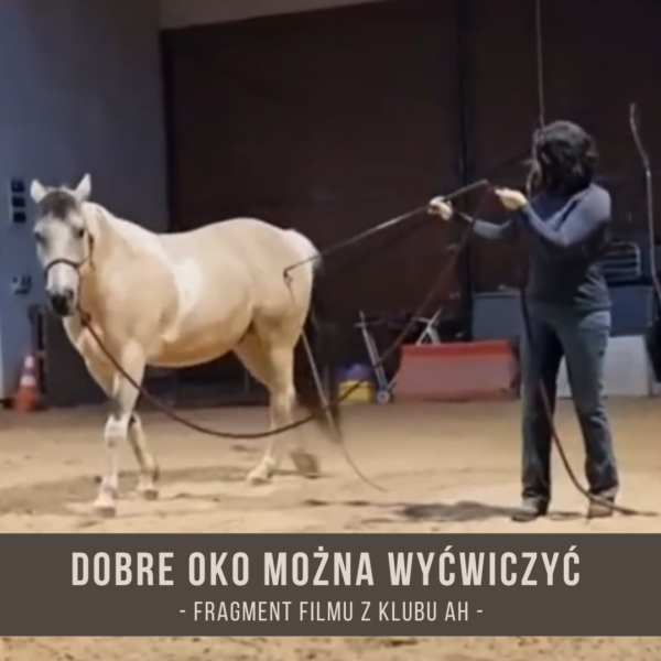 dobre_oko_mozna_wycwiczyc