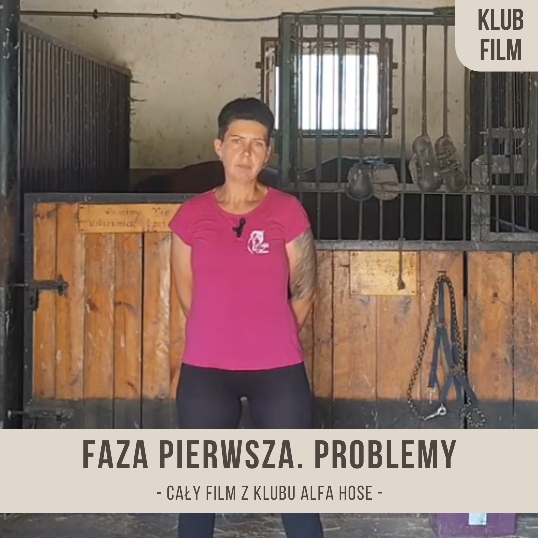 faza_pierwsza_problemy_alfahorse