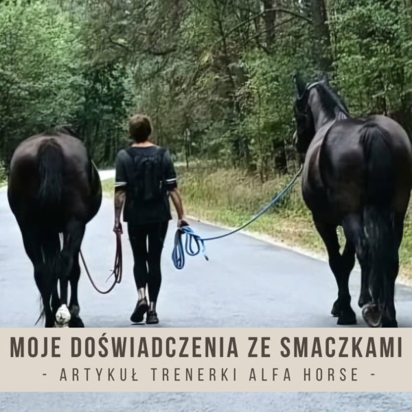 moje_doswiadczenia_ze_smaczkami_alfa_horse_beata_choruz