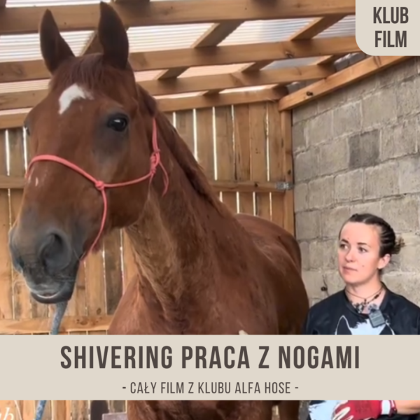 shivering_praca_z_nogami