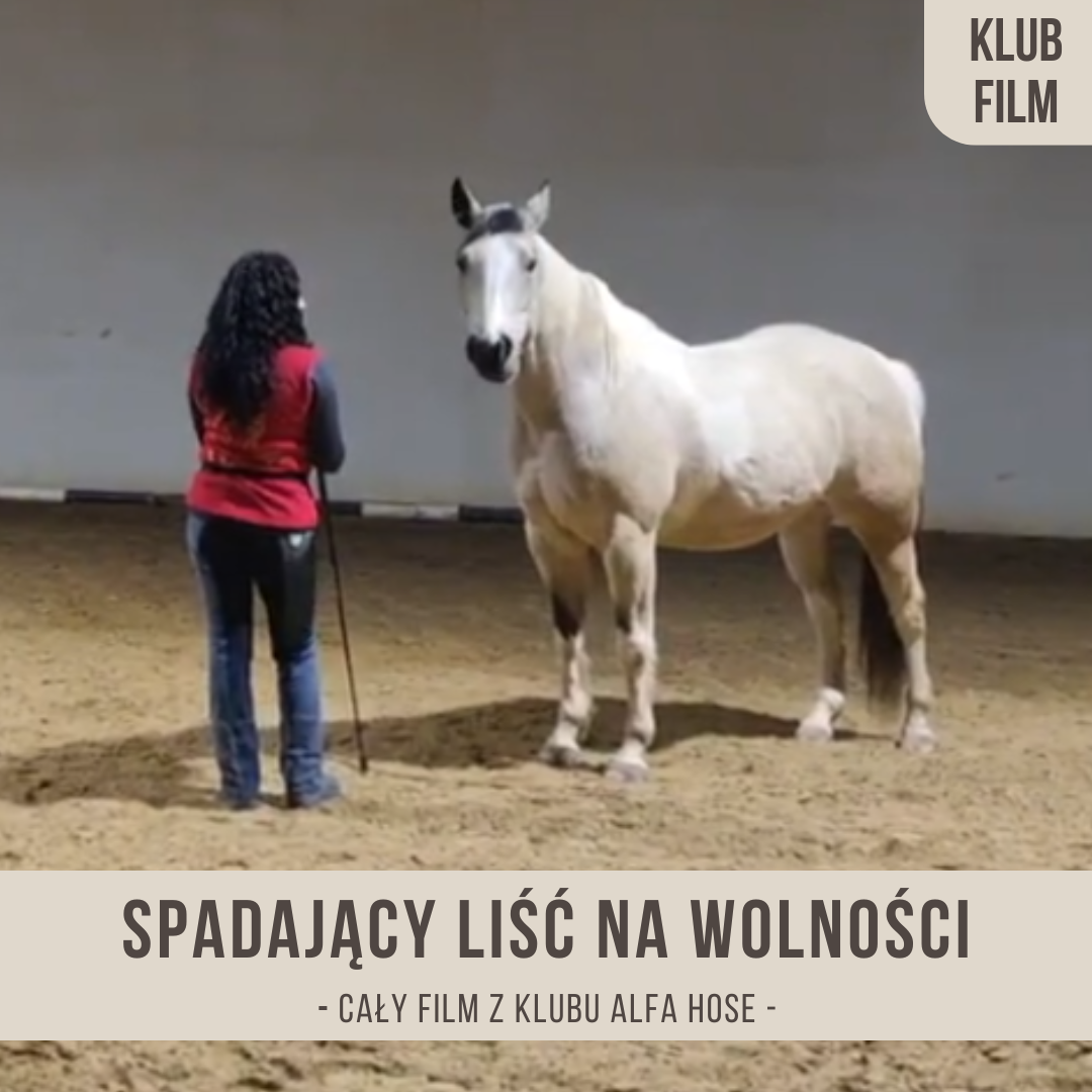 spadajacy_lisc_na_wolnosci