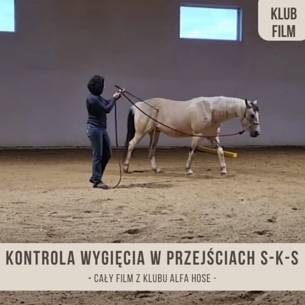 szkolimy_oko_kontrola_wygiecia_w_przejsciach