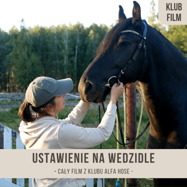 Ustawienie na wędzidle - Pierwsze spotkanie