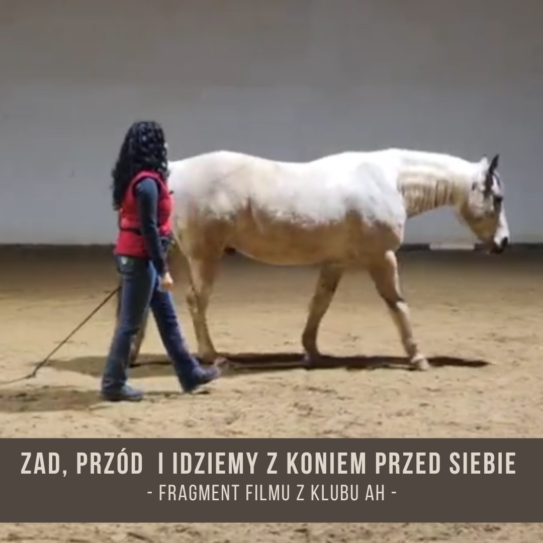 zad_przod_i_idziemy_z_koniem_przed_siebie