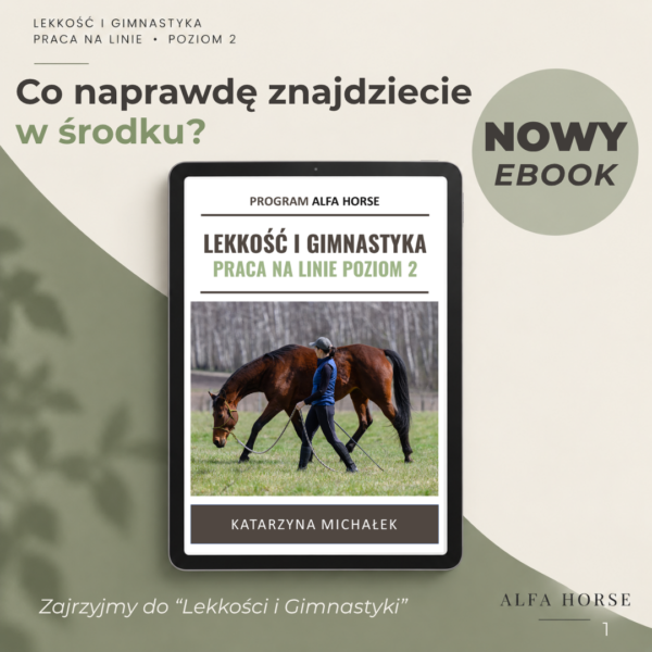 lekkosc_gimnastyka_alfahorse_11