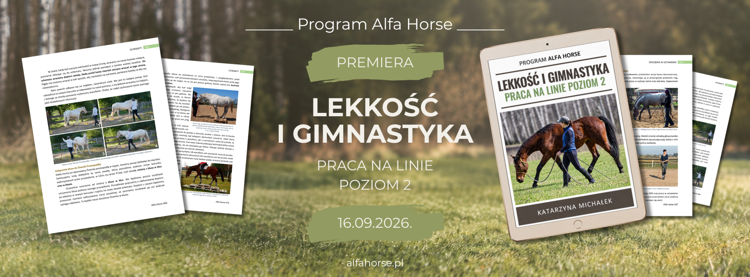 lekkosc_gimnastyka_alfahorse_trening_koni