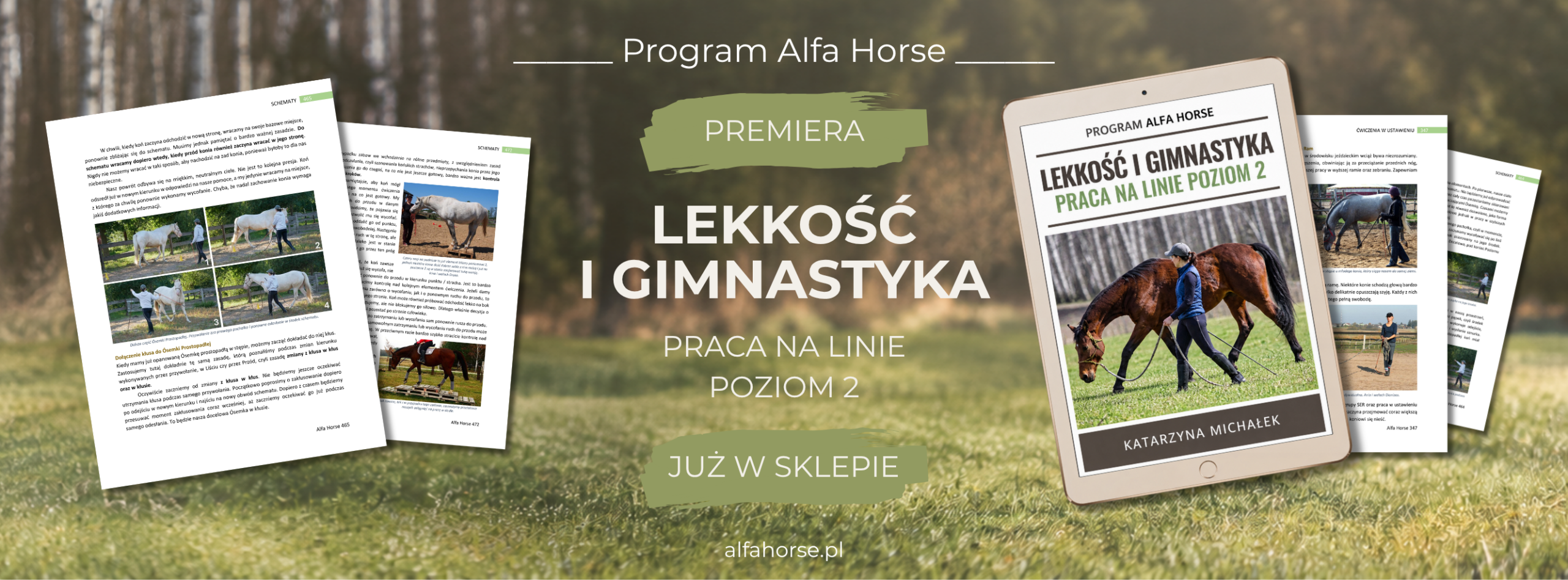 BANER LEKKOSC NA SPRZEDAŻ