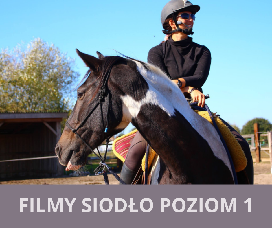 filmy_siodlo_poziom_1_alfa_horse