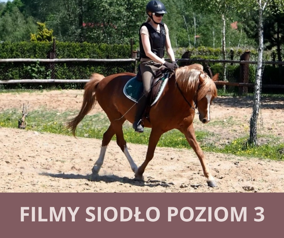 filmy_siodlo_poziom_3_alfa_horse