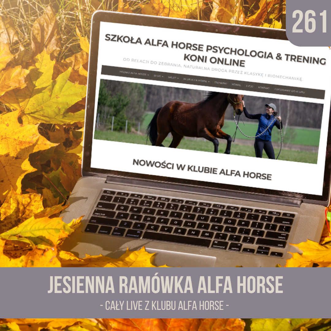 JESIENNA_RAMOWKA_ALFA_HORSE_LIVE_261