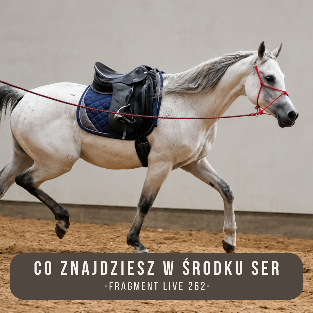 co_znajdziesz_w_srodku_SER