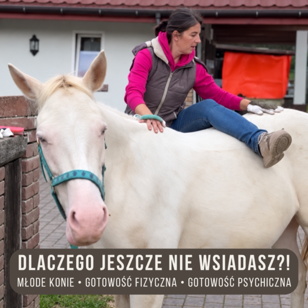 dlaczego_jeszcze_nie_wsiadasz_alfahorse