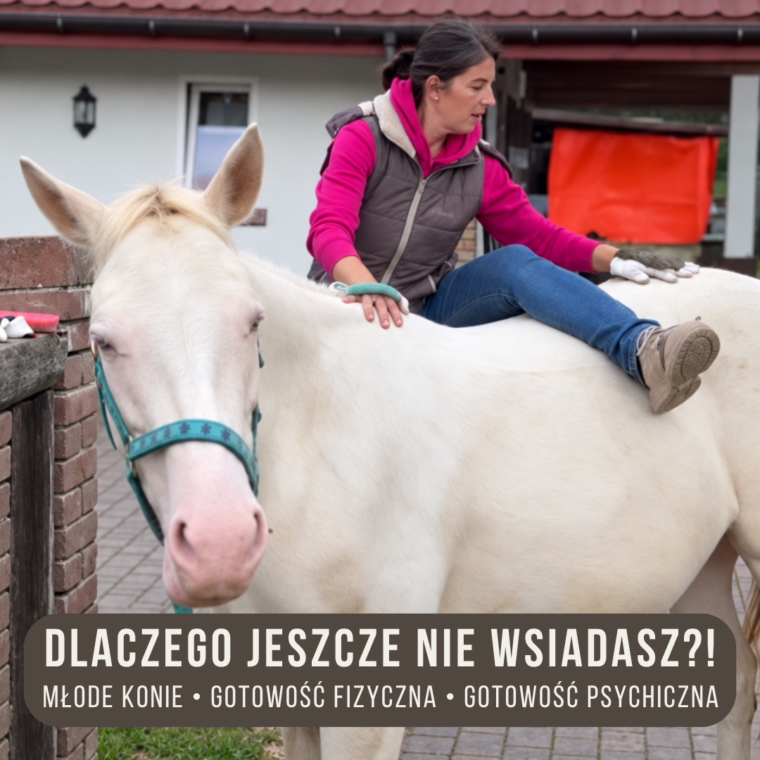 dlaczego_jeszcze_nie_wsiadasz_alfahorse