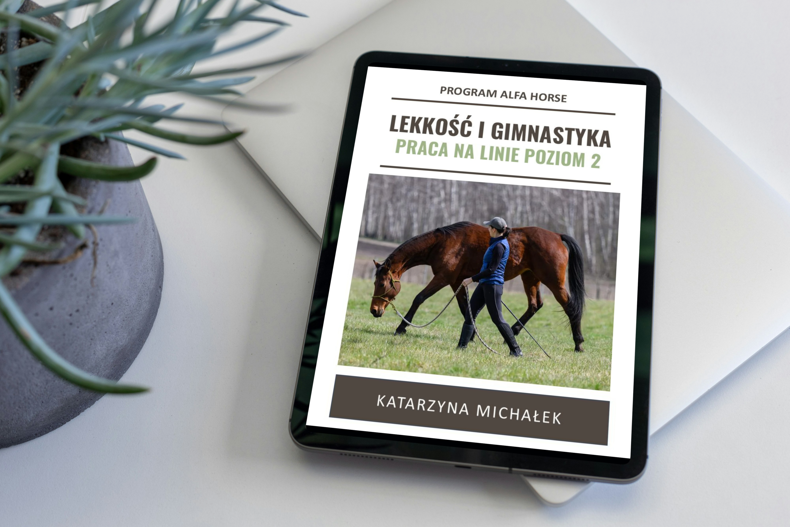 lekkosc_gimnastyka_alfahorse_1