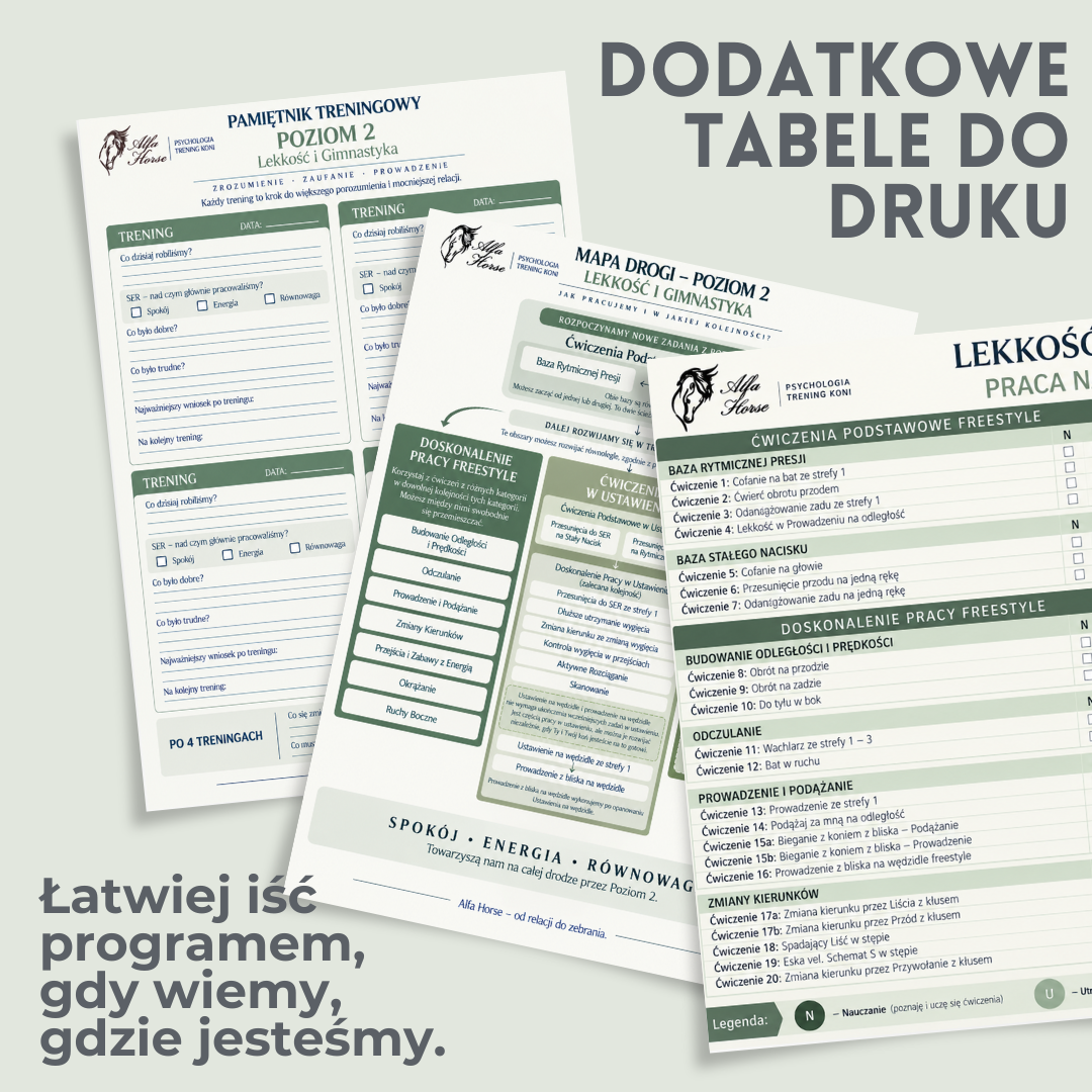 lekkosc_gimnastyka_alfahorse_3