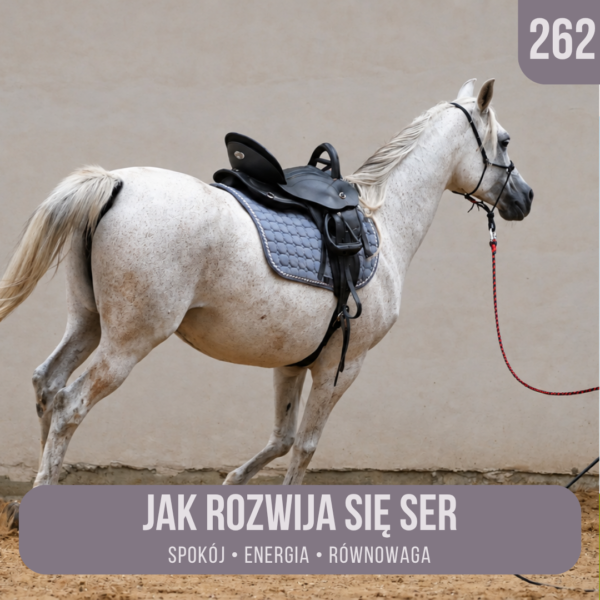 jak_rozwija_sie_SER