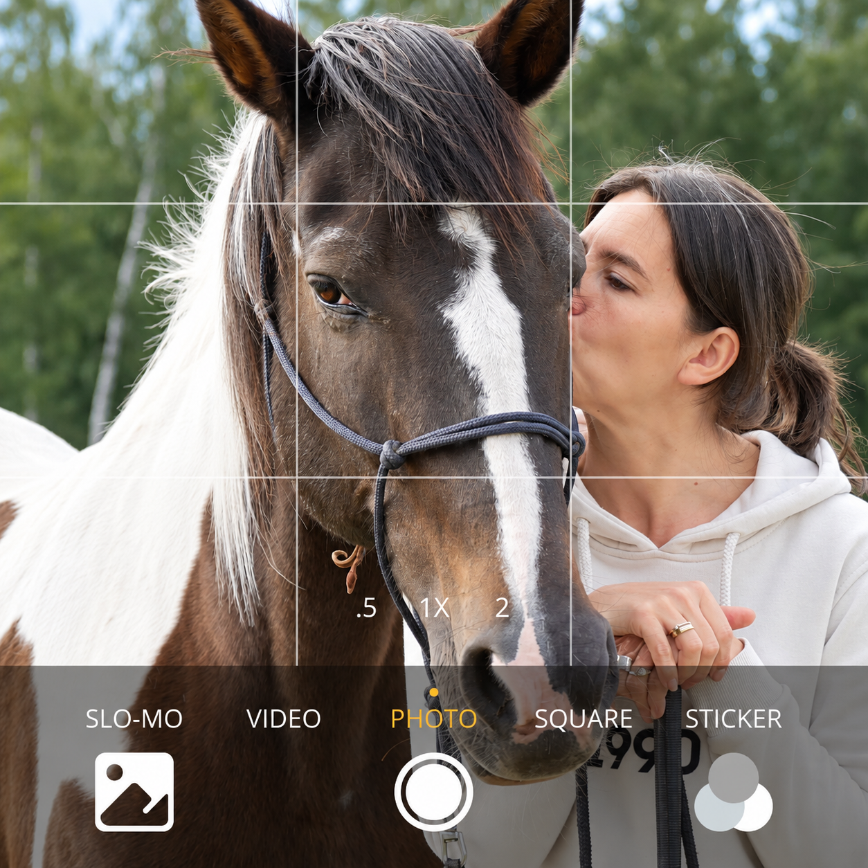 konsultacja online alfa horse 2