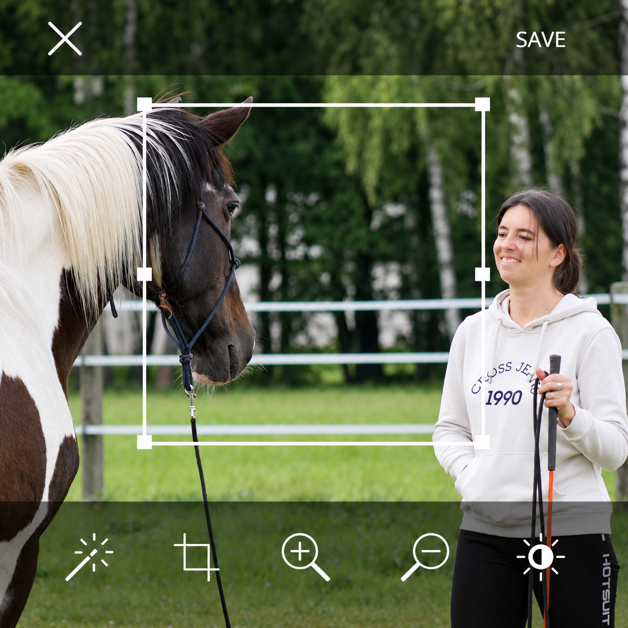 konsultacja online alfahorse4