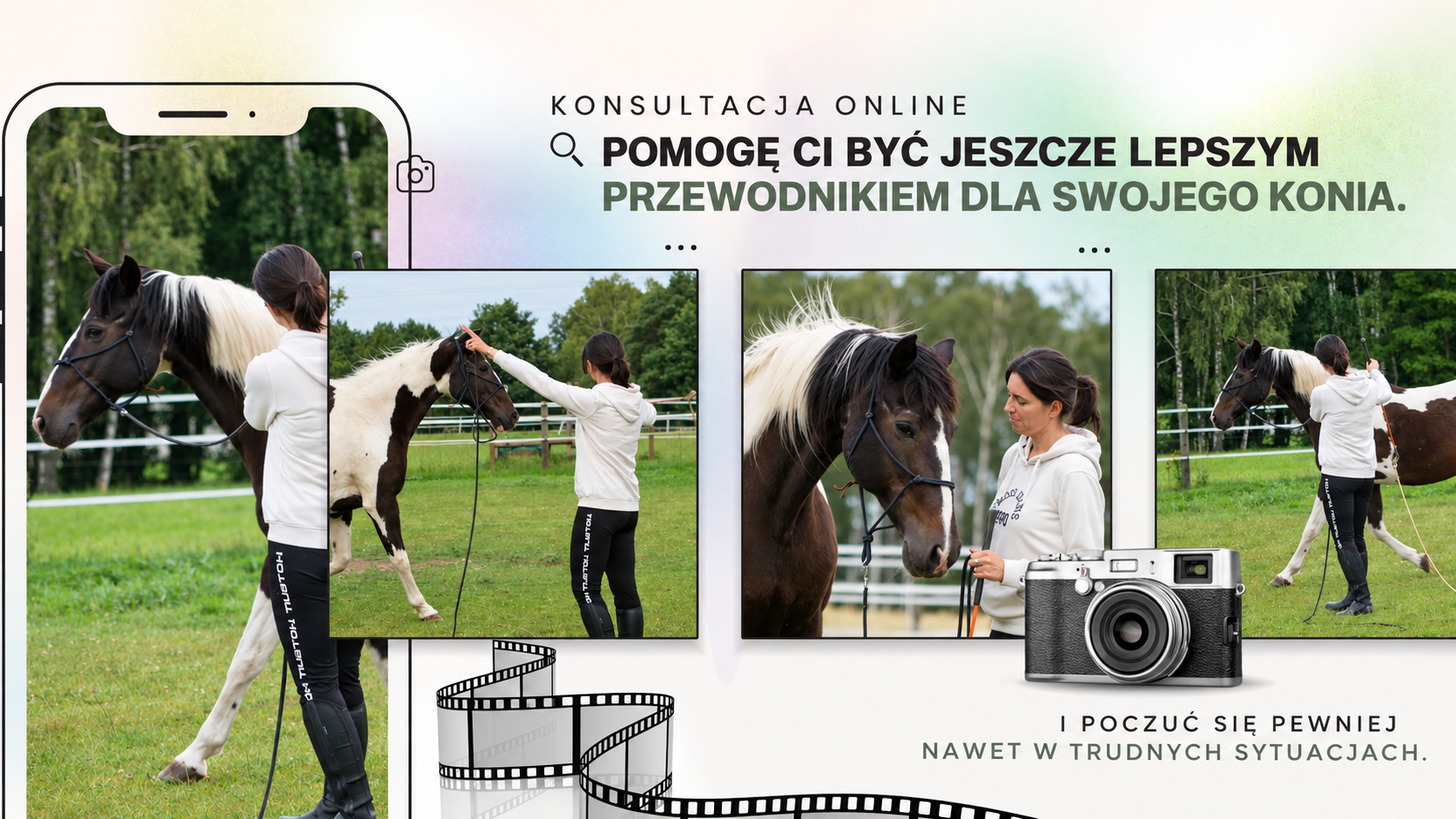 konsultacja_online_katarzyna_michalek_alfahorse
