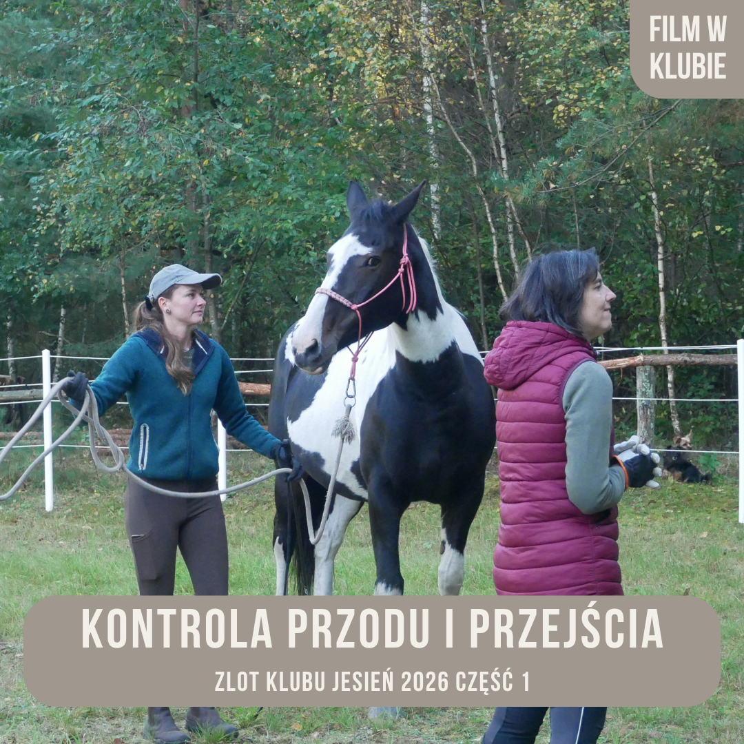 kontrola_przodu_i_przdejscia