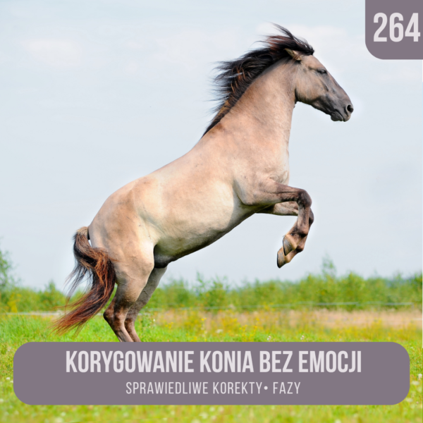 korygowanie_konia_bez_emocji