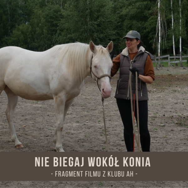 nie_biegaj_wokol_konia