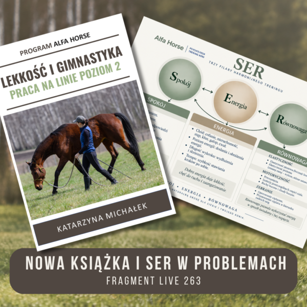 nowa_ksiazka_i_ser_w_problemach
