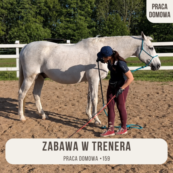 praca_domowa_159_zabawa_w_trenera_alfahorse