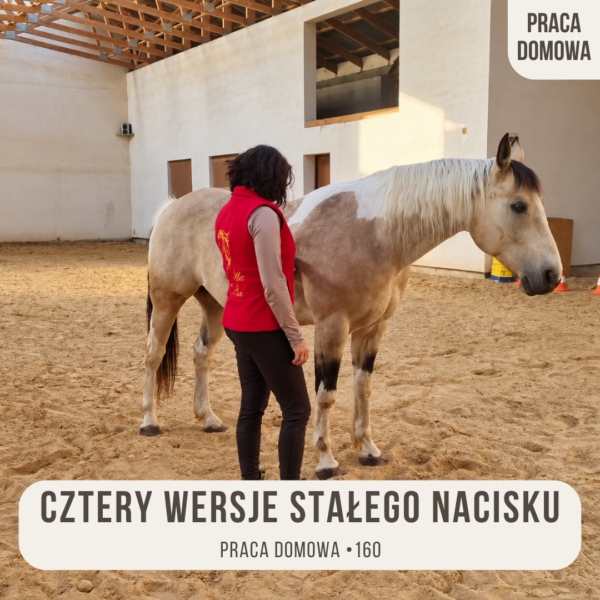 praca_domowa_160_cztery_wersje_stalego_nacisku_alfahorse