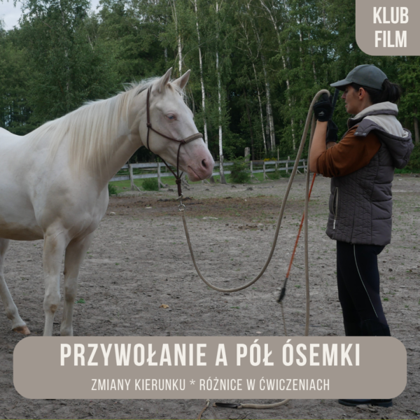 przywolanie_a_pol_osemki_alfahorse