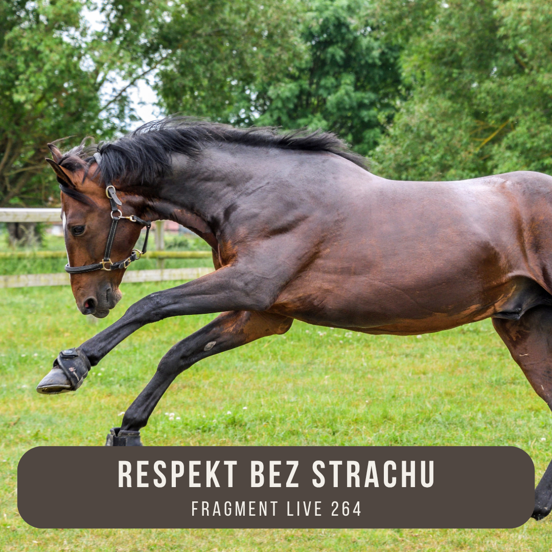 respekt_bez_strachu