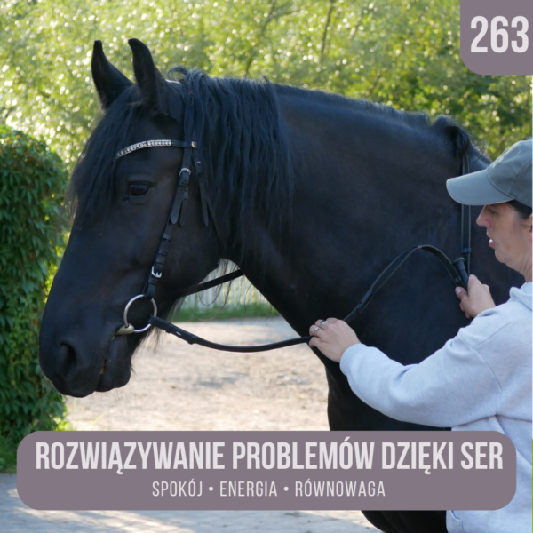 rozwiazywanie_problemow_dzieki_ser