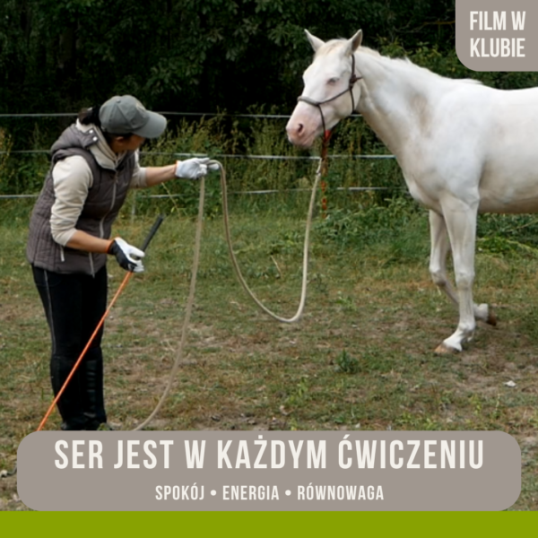 ser_jest_w_kazdym_cwiczeniu
