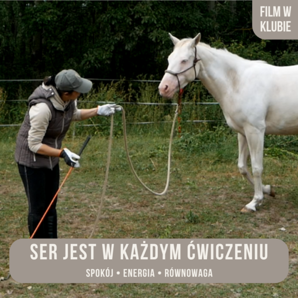 ser_jest_w_kazdym_cwiczeniu